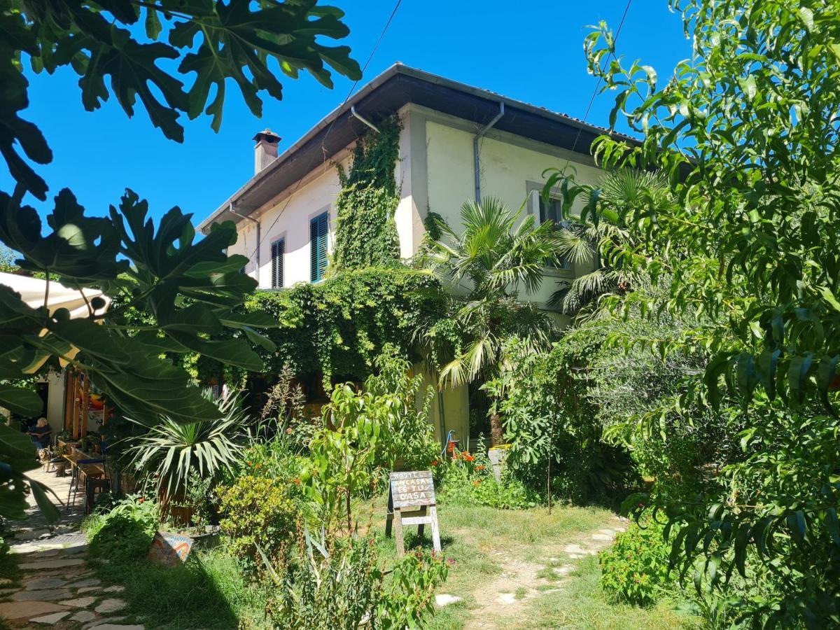 Mi Casa Es Tu Casa - Shkodra Backpackers Hostel المظهر الخارجي الصورة