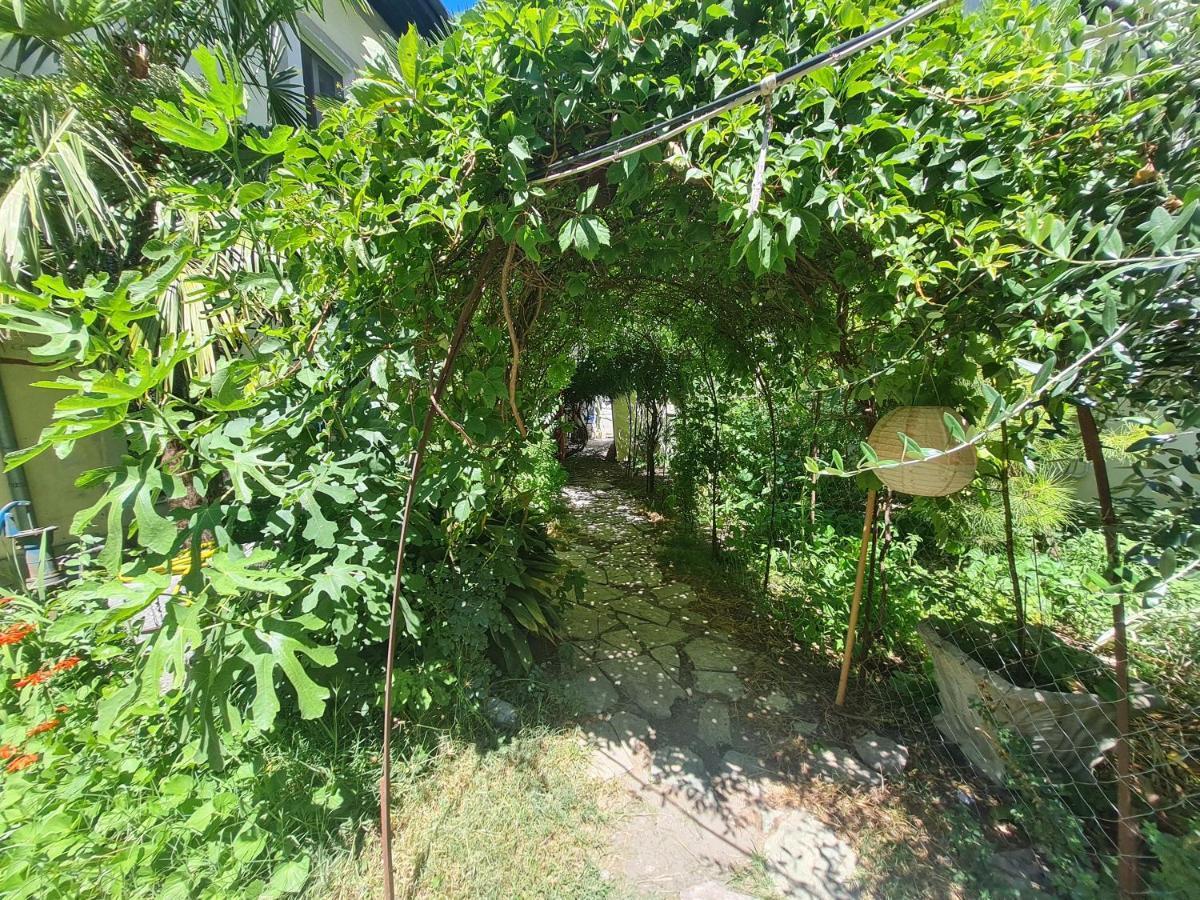 Mi Casa Es Tu Casa - Shkodra Backpackers Hostel المظهر الخارجي الصورة
